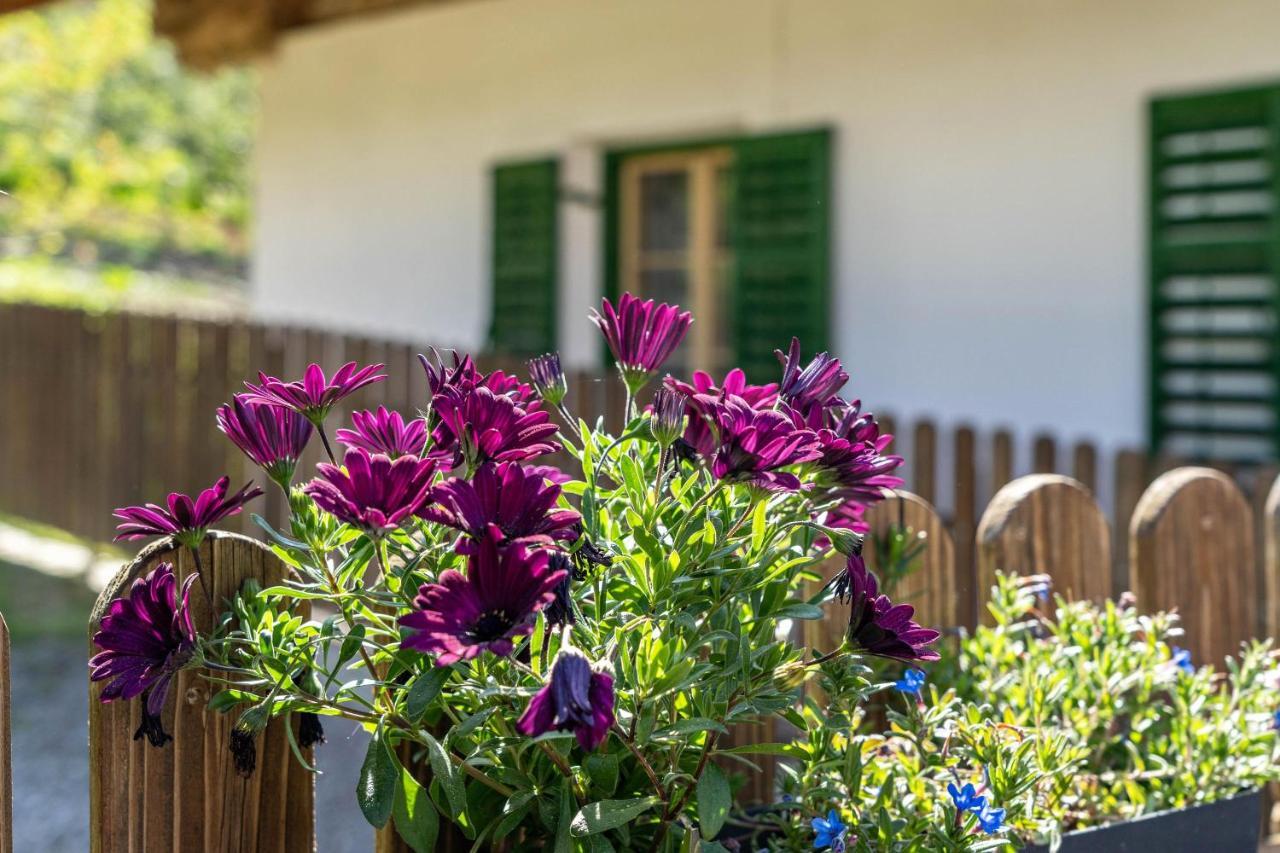 Ferienwohnung Brunjaunhof Шена Екстериор снимка